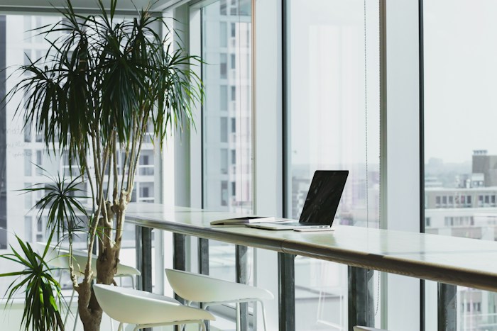 Bright creative workspace